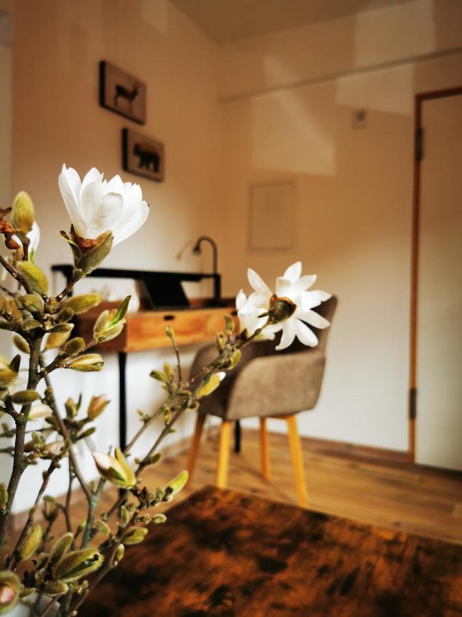 Haselnuss Apartment Ilsenburg Exterior photo